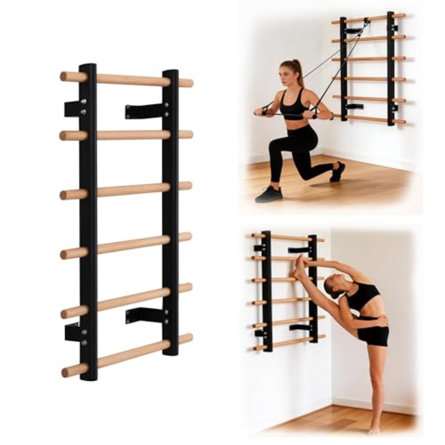 Home gym wall-mounted half bod - đánh giá và giá Home Bar And Gym